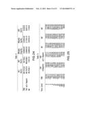 RECOMBINANT HUMAN FIBROBLAST GROWTH FACTOR-1 AS A NOVEL THERAPEUTIC FOR     ISCHEMIC DISEASES AND METHODS THEREOF diagram and image