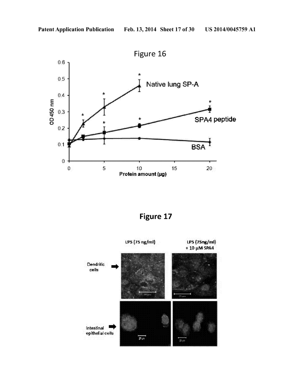 PEPTIDE COMPOSITIONS THAT DOWNREGULATE TLR-4 SIGNALING PATHWAY AND METHODS     OF PRODUCING AND USING SAME - diagram, schematic, and image 18