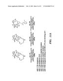 METHODS FOR TREATING VIRAL DISORDERS diagram and image