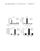 SHORT-FORM HUMAN MD-2 AS A NEGATIVE REGULATOR OF TOLL-LIKE RECEPTOR 4     SIGNALING diagram and image