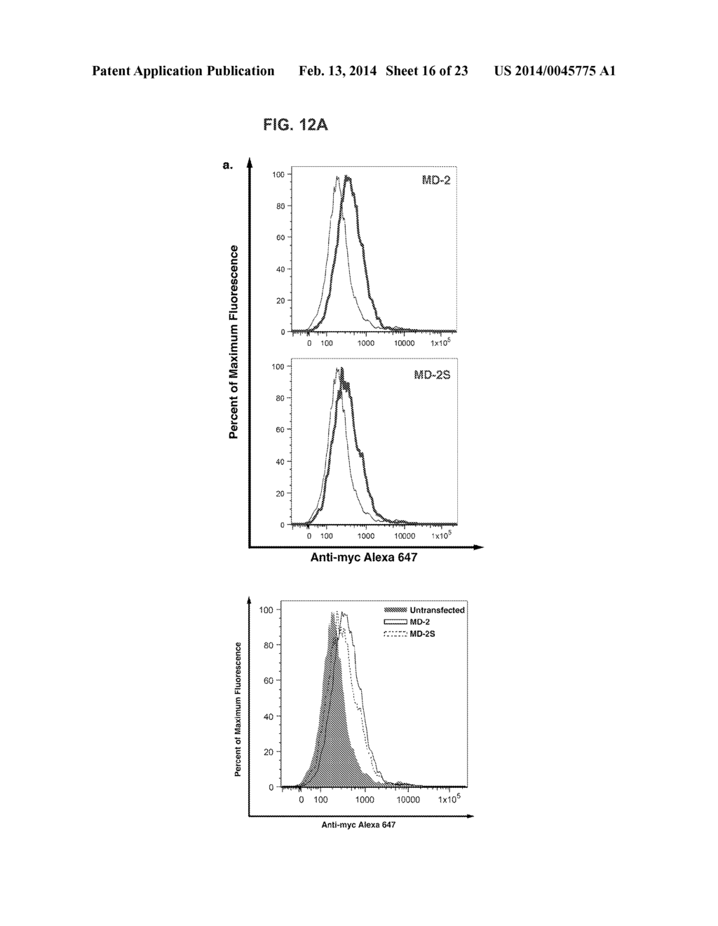 SHORT-FORM HUMAN MD-2 AS A NEGATIVE REGULATOR OF TOLL-LIKE RECEPTOR 4     SIGNALING - diagram, schematic, and image 17