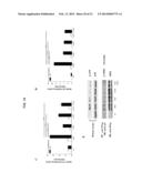 SHORT-FORM HUMAN MD-2 AS A NEGATIVE REGULATOR OF TOLL-LIKE RECEPTOR 4     SIGNALING diagram and image