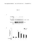 SHORT-FORM HUMAN MD-2 AS A NEGATIVE REGULATOR OF TOLL-LIKE RECEPTOR 4     SIGNALING diagram and image