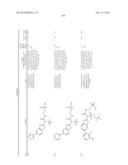 AMIDE, UREA OR SULFONE AMIDE LINKED BENZOTHIAZOLE INHIBITORS OF     ENDOTHELIAL LIPASE diagram and image