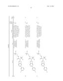 AMIDE, UREA OR SULFONE AMIDE LINKED BENZOTHIAZOLE INHIBITORS OF     ENDOTHELIAL LIPASE diagram and image