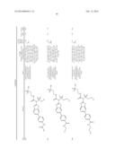 AMIDE, UREA OR SULFONE AMIDE LINKED BENZOTHIAZOLE INHIBITORS OF     ENDOTHELIAL LIPASE diagram and image