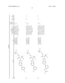 AMIDE, UREA OR SULFONE AMIDE LINKED BENZOTHIAZOLE INHIBITORS OF     ENDOTHELIAL LIPASE diagram and image