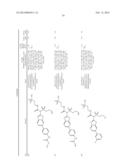 AMIDE, UREA OR SULFONE AMIDE LINKED BENZOTHIAZOLE INHIBITORS OF     ENDOTHELIAL LIPASE diagram and image