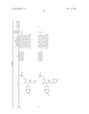 AMIDE, UREA OR SULFONE AMIDE LINKED BENZOTHIAZOLE INHIBITORS OF     ENDOTHELIAL LIPASE diagram and image