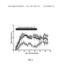 TRIAZOLOPYRIDINE COMPOUNDS AS PIM KINASE INHIBITORS diagram and image