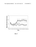 TRIAZOLOPYRIDINE COMPOUNDS AS PIM KINASE INHIBITORS diagram and image