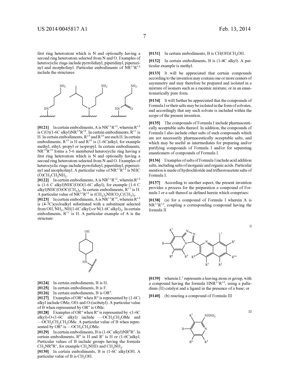 TRIAZOLOPYRIDINE COMPOUNDS AS PIM KINASE INHIBITORS - diagram, schematic, and image 17