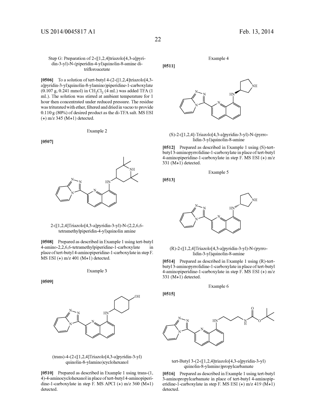 TRIAZOLOPYRIDINE COMPOUNDS AS PIM KINASE INHIBITORS - diagram, schematic, and image 32