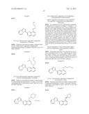 TRIAZOLOPYRIDINE COMPOUNDS AS PIM KINASE INHIBITORS diagram and image