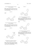 TRIAZOLOPYRIDINE COMPOUNDS AS PIM KINASE INHIBITORS diagram and image