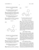 TRIAZOLOPYRIDINE COMPOUNDS AS PIM KINASE INHIBITORS diagram and image