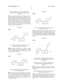 TRIAZOLOPYRIDINE COMPOUNDS AS PIM KINASE INHIBITORS diagram and image