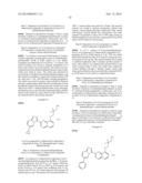 TRIAZOLOPYRIDINE COMPOUNDS AS PIM KINASE INHIBITORS diagram and image