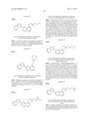 TRIAZOLOPYRIDINE COMPOUNDS AS PIM KINASE INHIBITORS diagram and image