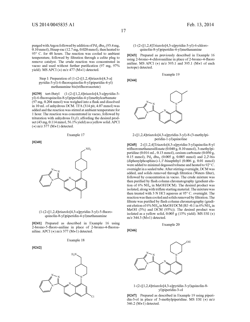 TRIAZOLOPYRIDINE COMPOUNDS AS PIM KINASE INHIBITORS - diagram, schematic, and image 18