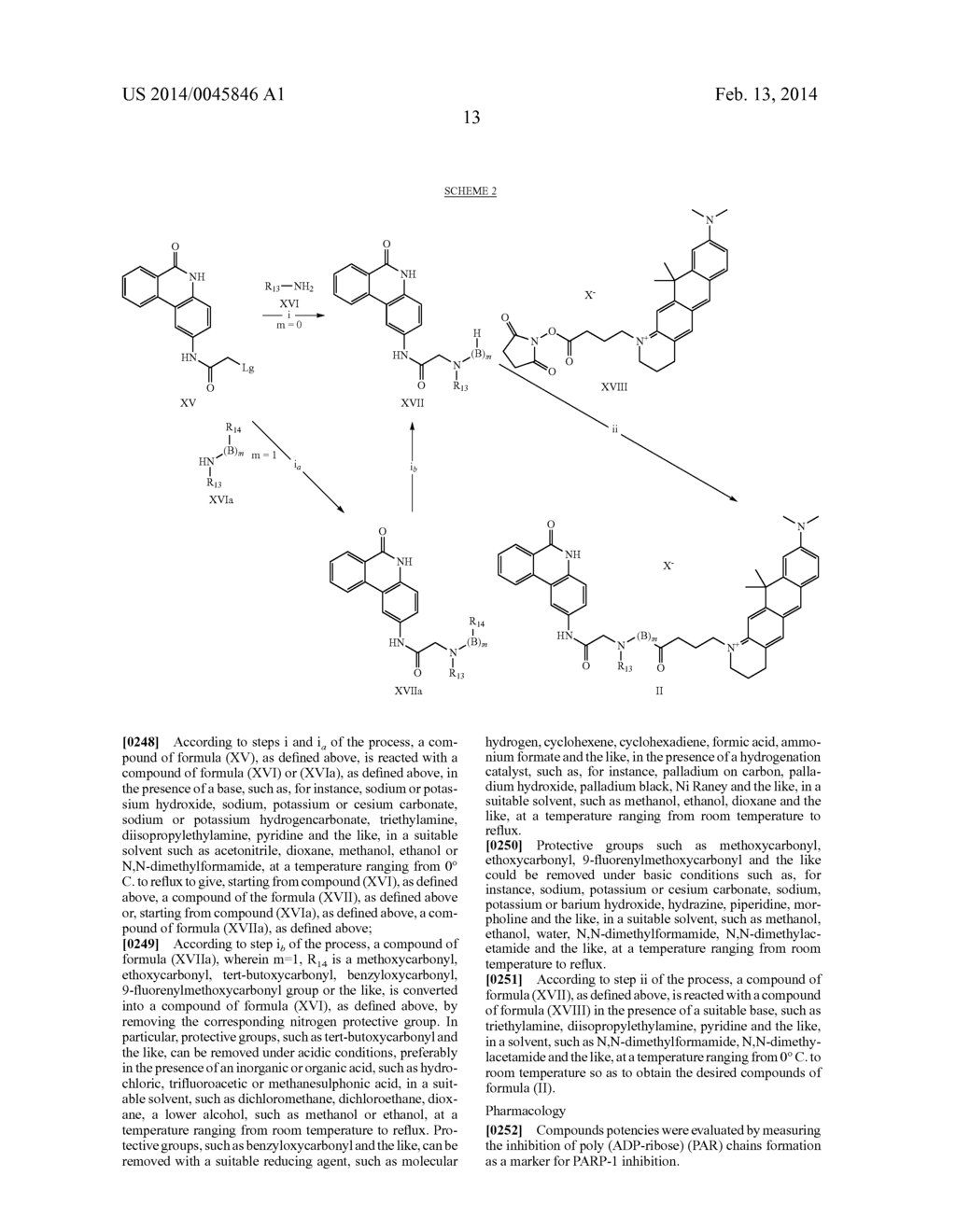 ISOQUINOLIN-1(2H)-ONE DERIVATIVES AS PARP-1 INHIBITORS - diagram, schematic, and image 14