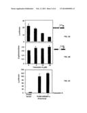 Methods and Compositions for the Treatment of Cancer and Related     Hyperproliferative Disorders diagram and image