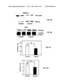 Methods and Compositions for the Treatment of Cancer and Related     Hyperproliferative Disorders diagram and image