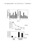 Methods and Compositions for the Treatment of Cancer and Related     Hyperproliferative Disorders diagram and image