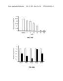 Methods and Compositions for the Treatment of Cancer and Related     Hyperproliferative Disorders diagram and image