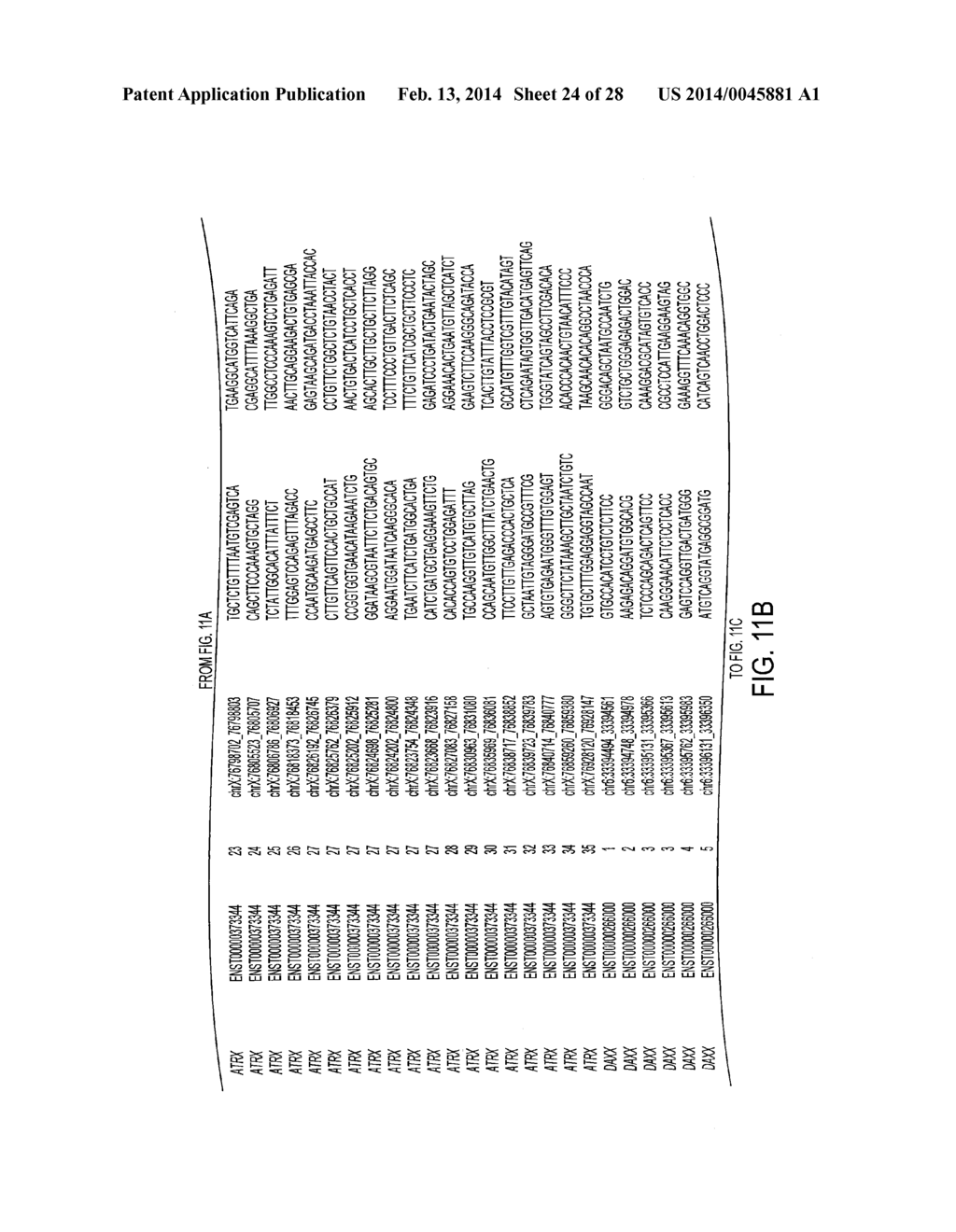 GENES FREQUENTLY ALTERED IN PANCREATIC NEUROENDOCRINE TUMORS - diagram, schematic, and image 25