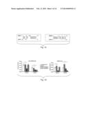 Materials and Methods Related to MicroRNA-21, Mismatch Repair, and     Colorectal Cancer diagram and image