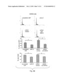 Materials and Methods Related to MicroRNA-21, Mismatch Repair, and     Colorectal Cancer diagram and image