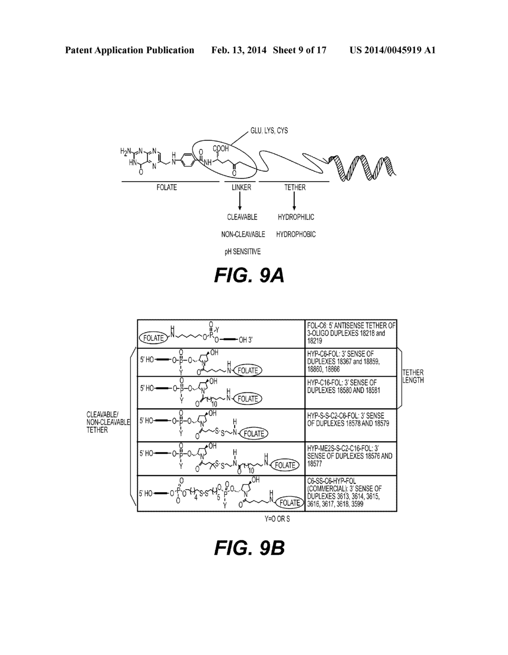 Folate Conjugates - diagram, schematic, and image 10