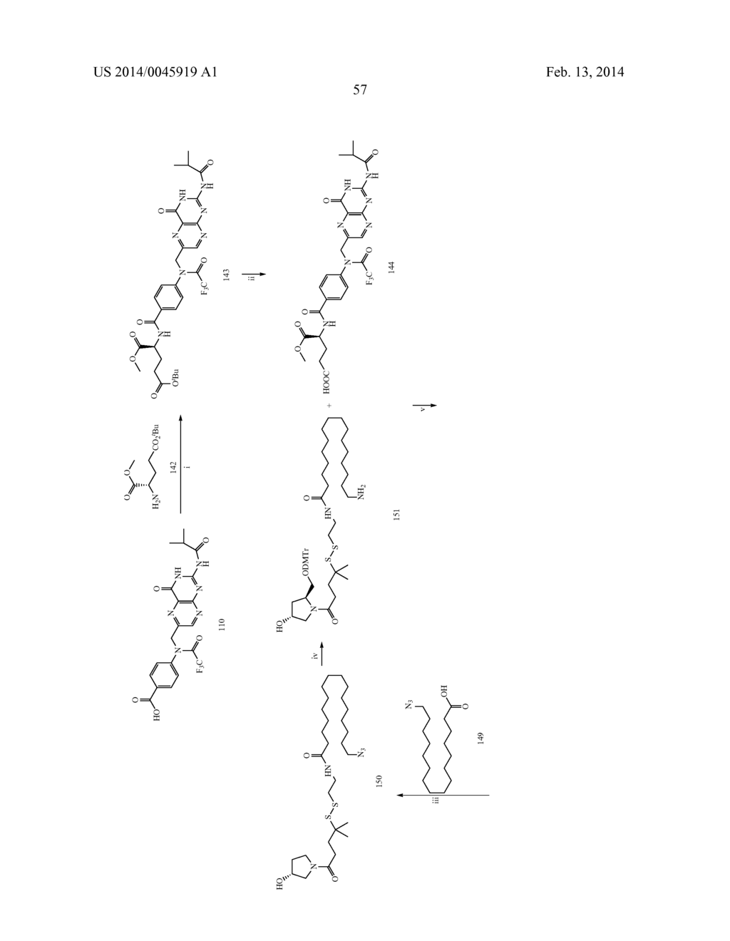 Folate Conjugates - diagram, schematic, and image 75