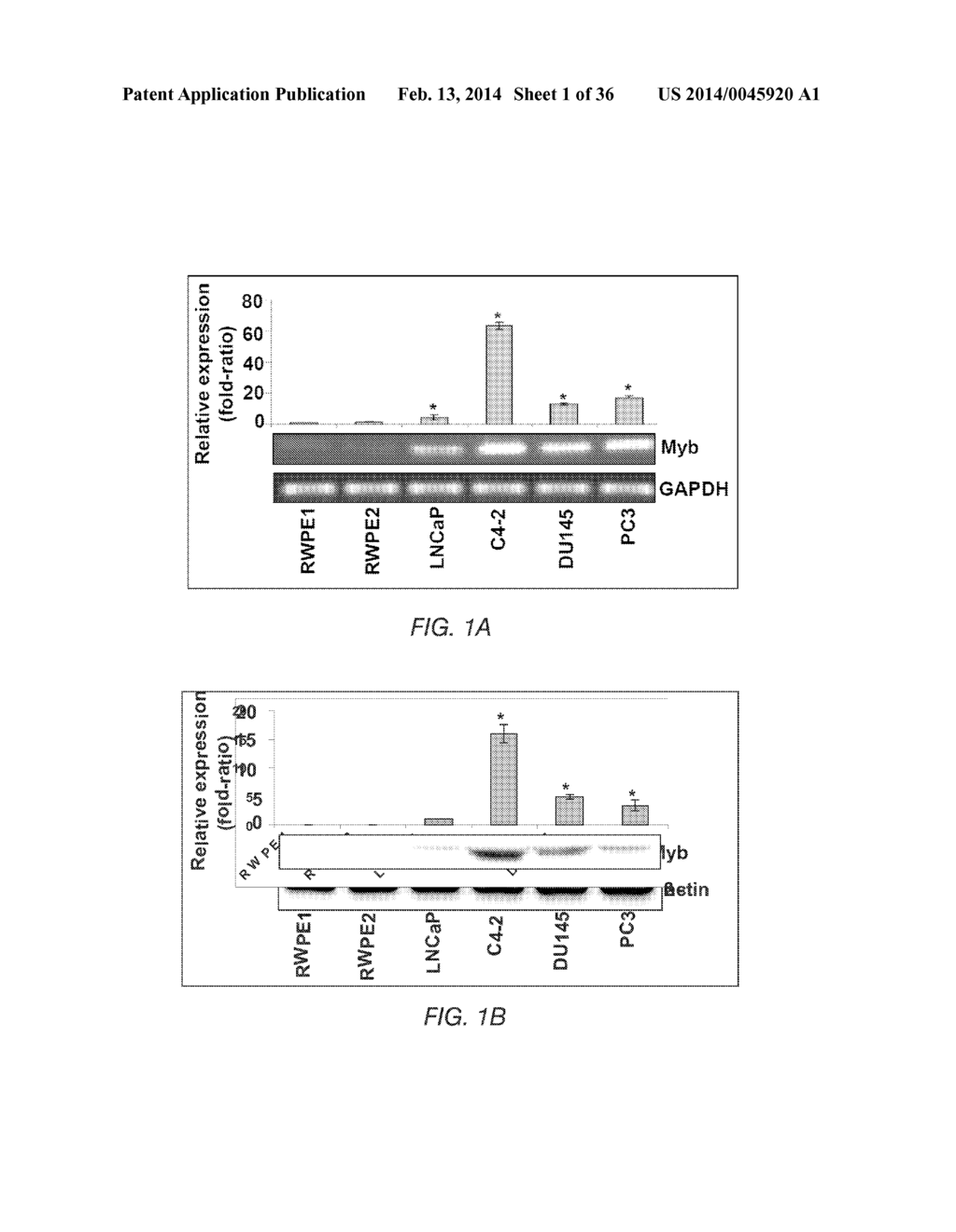 METHODS AND COMPOSITIONS FOR THE DIAGNOSIS, CLASSIFICATION, AND TREATMENT     OF CANCER - diagram, schematic, and image 02