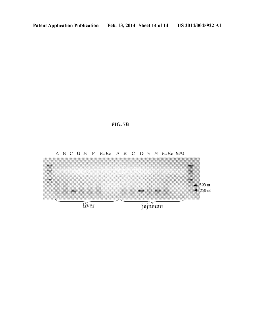 RNAi Modulation Of ApoB And Uses Thereof - diagram, schematic, and image 15