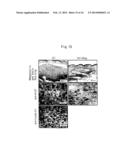 SELF-MAGNETIC METAL-SALEN COMPLEX COMPOUND diagram and image