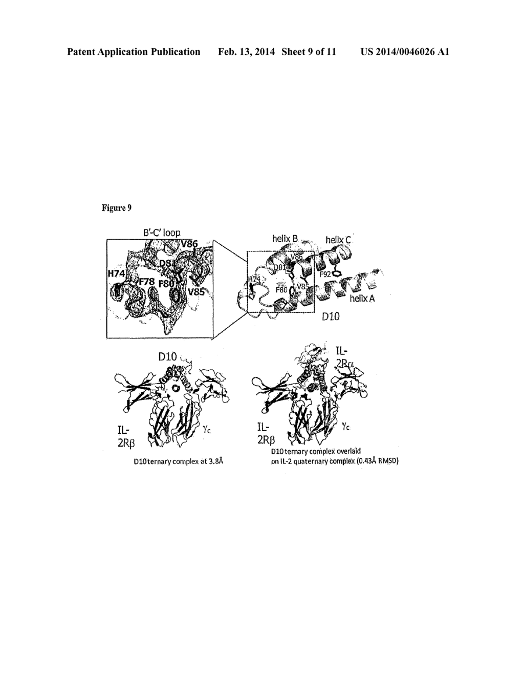 SUPERAGONISTS AND ANTAGONISTS OF INTERLEUKIN-2 - diagram, schematic, and image 10