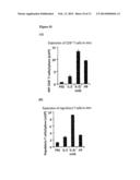 SUPERAGONISTS AND ANTAGONISTS OF INTERLEUKIN-2 diagram and image