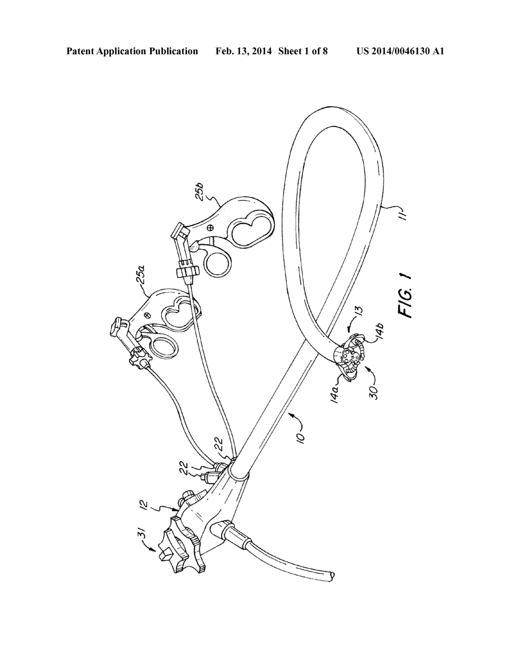 Surgical Method Utilizing Transluminal Endoscope and Instruments - diagram, schematic, and image 02