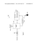 MONITORING VOLAEMIC CONDITION IN A HUMAN OR ANIMAL SUBJECT diagram and image