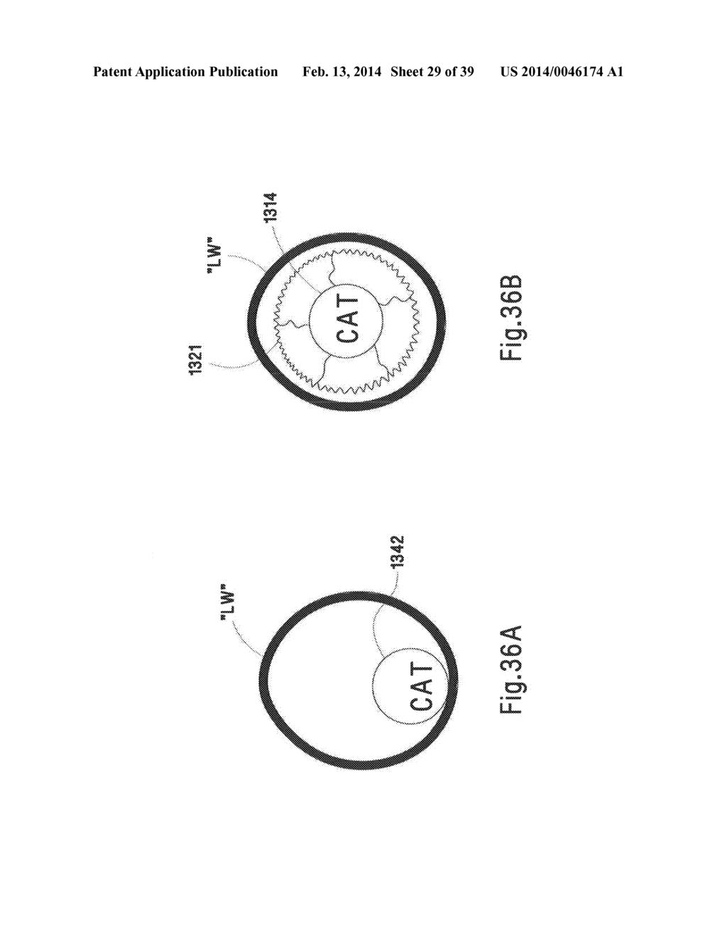 MICROWAVE ABLATION CATHETER AND METHOD OF UTILIZING THE SAME - diagram, schematic, and image 30