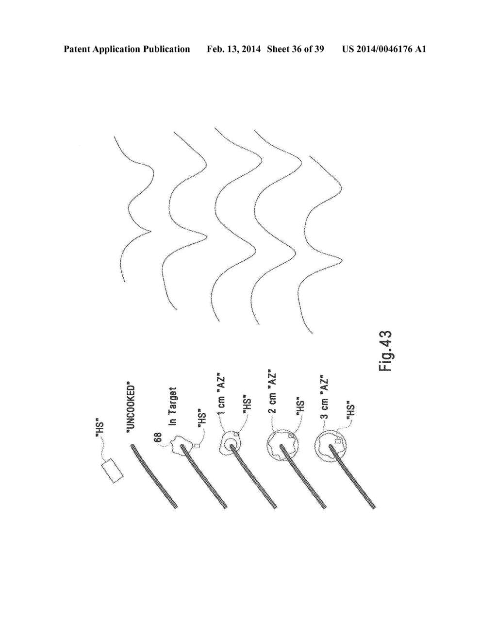 MICROWAVE ABLATION CATHETER AND METHOD OF UTILIZING THE SAME - diagram, schematic, and image 37