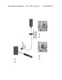 Luminescent Tension-Indicating Orthopedic Strain Gauges for Non-Invasive     Measurements Through Tissue diagram and image