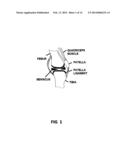 Dynamic Load Bearing Shock Absorbing Exoskeletal Knee Brace diagram and image