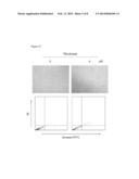 SYNTHESIS OF 2-(4-AMINOPHENYL)BENZOTHIAZOLE DERIVATIVES AND USE THEREOF diagram and image