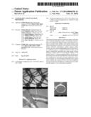 Temporarily Stiffened Mesh Prostheses diagram and image