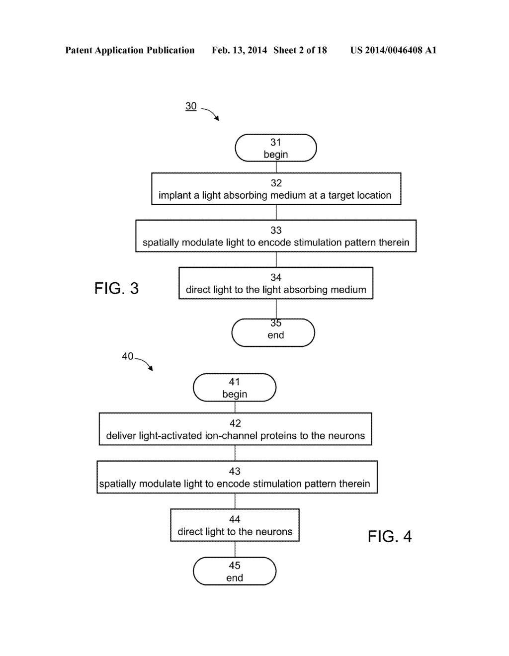 METHOD AND SYSTEM FOR OPTICAL STIMULATION OF NEURONS - diagram, schematic, and image 03