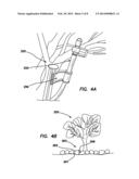 SUBSTANTIALLY CONCEALED IRRIGATION SYSTEM diagram and image