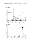 ION GENERATION USING WETTED POROUS MATERIAL diagram and image